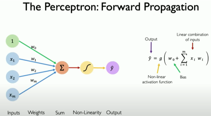 Perceptron